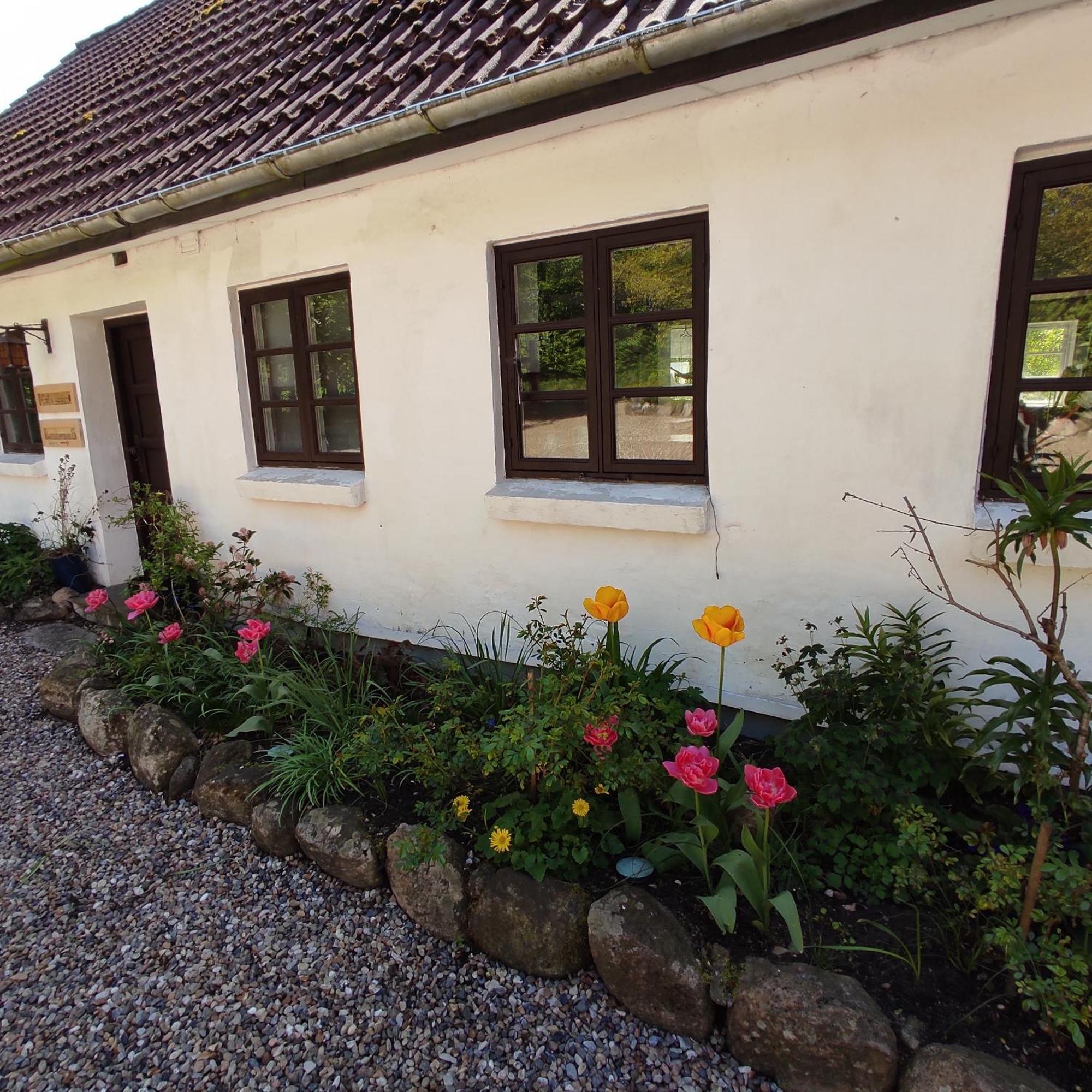 Emily'S Garden Bed & Breakfast Lintrup Exterior foto